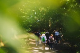 NaturRauszeit - Kräuterwissen - Fotowanderung - Waldbaden